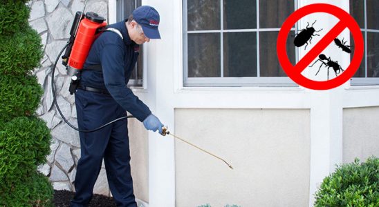 Tavşanlı Haşere İlaçlama böcek ilaçlama ve haşere kontrolü — ilaclama-tr.com